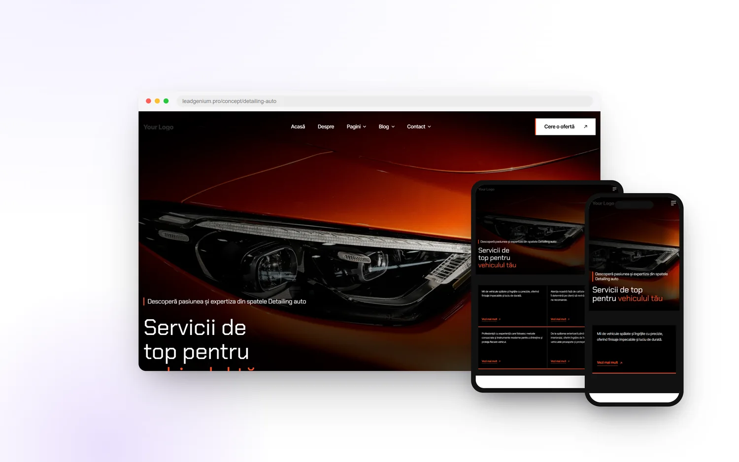 Детейлинг — leadgenium.pro/concept/detailing-auto